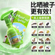 骉祥床虱杀虫剂床上专用药灭臭虫跳蚤家用室内除虫子克星神器驱虫喷雾 床上用（2瓶装）植物配方 专为孕婴打造 2年有效
