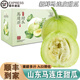 南步山东马连庄甜瓜【顺丰】莱西特产蜜宝香瓜星甜小蜜蜂甜瓜新鲜水果 5斤 精选中大果【约7-9粒】彩箱