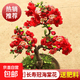 海棠花盆栽树苗老桩四季开花卉植物室内花庭院阳台名贵绿植好养活 【热销推荐】长寿冠海棠花+肥料(5年老桩)