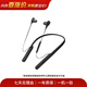 索尼（SONY）WF/WH/WI系列 二手蓝牙耳机真无线降噪耳麦 WI-1000XM2