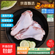 鸭翅根 冷冻鸭小腿鸭腿卤味鸭货烧烤食材油煎鸭翅批发商用净重 精修鸭翅根6斤