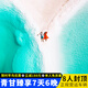 青海甘肃旅行7天6晚青海湖+茶卡盐湖+水上雅丹+莫高窟+鸣沙山月牙泉+翡翠湖+祁连草原2-6人纯玩小拼团7日游 采销福利放送-青甘环线丨全程四钻+正规营运车辆 固定班期4月29日 成人