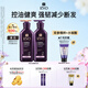 吕（Ryo）紫吕洗发水护发素套装 400ml*2 控油蓬松强韧防断发【油头专研】
