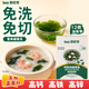 碧欧奇高钙铁锌裙带菜30g  免切免洗独立包装儿童调味送宝宝辅食谱