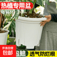龟背竹花盆专用大号热植家用塑料树脂兰花控根透气客厅青山盆透明 【象牙白2套】 【口径32cm】送托盘