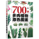 700种多肉植物原色图鉴 （第二版）