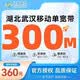 中国电信湖北电信宽带武汉移动新装快速低资费宽带办理宽带套餐 武汉移动300M包年=360元【包光猫】
