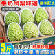 【顺丰】现摘牛奶凤梨释迦 释迦番荔枝佛头果 大目释迦热带水果 5斤 特大果（单果7两+）