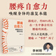 腰痛自愈力：唤醒身体的康复本能
