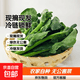 新鲜精选芥兰芥蓝现摘现发绿色无公害时令蔬菜农家自种青菜冷链发 2斤（净重冷链发货）