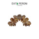 依慧达（Evita Peroni ）花瓣抓夹夏季女半扎发鲨鱼夹ins风盘发头饰夹子高级感发夹 炫棕色