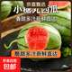正宗河南2k小糖丸西瓜 手撕薄皮 新鲜水果 现摘直发 小糖丸1.5-2斤手撕爆甜小西瓜
