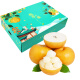洽乐 山东秋月梨冰糖梨4.5-5斤大果礼盒装 约6-8个 新鲜水果