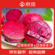 京觅广西红心火龙果净重4.5斤单果200g+ 新鲜水果 源头直发包邮