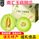 花农氏上海南汇玉菇甜瓜【顺丰速发】冰淇淋甜瓜软糯清甜新鲜水果送礼 4-4.5斤 精选果【2个装】