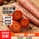 【东东买菜】陕西带泥水果胡萝卜红心胡萝卜红萝卜新鲜现挖 陕北沙壤带泥胡萝卜9斤装