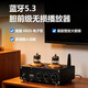 BRZHIFI 伟良音响 U30胆前级蓝牙接收器U盘音乐播放器 发烧电子管前级放大器前置效果器小胆机 U30【前级+12V4A电源】