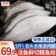 朵芙鲽鱼超大5斤装 免处理鲽鱼身比目鱼 鲽鱼段冷冻鸦片鱼海鱼鱼类 深海鲽鱼段 2500g