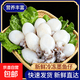 精品墨鱼仔新鲜墨鱼乌贼八爪鱼章鱼目鱼仔干冻去皮商用海鲜净重 新鲜深海墨鱼仔500克x3包【精品加工】每斤30头左右