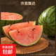 【东东农场专供】2k西瓜网红小糖丸西瓜麒麟西瓜脆甜整箱包邮 小糖丸1.5-2斤