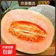 正宗哈密瓜西州蜜瓜当季网纹瓜9斤蜜瓜当季新鲜香瓜产地直发 带箱5-6斤2-3个瓜