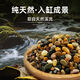 宠翰鱼缸溪流石底砂造景石底部沙石天然溪流石鹅卵石
