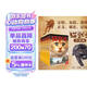 猫武士首部曲（全6册）预言开始 儿童文学动物小说自主阅读生存勇气成长励志 奇幻冒险小说 中小学生青少年提升写作作文能力 课外书王芳推荐暑假作业 一升二暑假衔接 小升初暑假衔接  