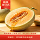 京鲜生 哈密瓜/西州蜜 1粒 单果2.5斤起 生鲜水果