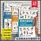 【官方正版】肌肉力量训练+拉伸训练彩色图谱 健身书籍练肌肉 肌肉训练图谱塑造书 无器械健身教程 健身教练套装 人民邮电出版社