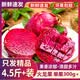 优趣农红心火龙果 生鲜水果 产地直发 净重4.5斤-5斤 单果300g+