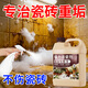 家可美（jiakemei）强力洁瓷剂家政专用卫生间去污去黄马桶厕所尿碱尿垢厕所清洗剂 1500mL 1瓶 强力洁瓷剂【送工具】