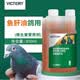 VICTERY汉诺威氨维鱼肝油种鸽赛幼鸽补钙鹦鹉鸟用鸽子保健品专用调理壮骨 氨维鱼肝油500ml