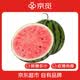 京觅陕西美都头茬麒麟西瓜净重5-7斤1粒装 有籽甜瓜 新鲜水果源头直发