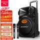 山水（SANSUI）A12-66 12吋广场舞音响 户外音响卡拉ok重低音蓝牙音响 便携式K歌移动舞台拉杆音箱大功率扩音器 旗舰版（12寸重低音+双麦）