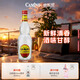 懒虫Camino 银龙舌兰酒750ml 墨西哥进口 长岛冰茶 送礼