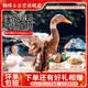 杨博士 皖南散养老鸭2只 净重4斤 农家鸭子土鸭新鲜鸭肉整只鸭源头直发