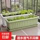 塑料花盆加大特大号 阳台仿陶瓷苗木盆景育苗盆长方形养花种菜盆 绿色-种菜盆带托 590#长58.5cm宽20.5cm高14.5cm