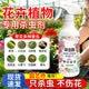 ZYUO花卉杀虫剂喷雾植物小飞虫黑家用盆栽植物除虫药灭蚜虫通 1瓶装【全网热销】操作简便 一喷搞定 植物土壤绿蔬菜蚜虫小黑飞月季花草红蜘蛛蚧壳虫
