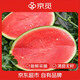 京觅陕西甘美4k西瓜头茬少籽 9-11斤1粒装 甜瓜新鲜水果源头直发