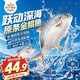 恒兴食品原条金鲳鱼净重2斤/4条装BAP认证海鲜送礼纯鱼肉
