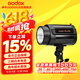 神牛（Godox）200W/250W摄影灯影室专业闪光灯中小型影棚电商拍摄灯套装证件照美食影棚灯 200W闪光灯单灯【标配】
