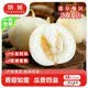 京觅山东星甜20小蜜蜂甜瓜 净重4.5斤优选果 单果250g起 水果源头直发