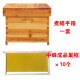 蜂之家蜜蜂蜂箱全套中蜂蜂桶十框煮蜡烘干巢框诱蜂箱杉木养蜂标准箱批发 煮蜡箱(散装)+10个中蜂框