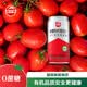 番时番新疆有机100%NFC番茄汁 轻断食果蔬汁番茄汁西红柿汁205ml*12罐