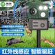 美燕新品动物驱赶器超声波红外线太阳能户外花园驱猫狗鼠类器家用 【高端】黑科技超声波可调频款