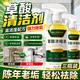 DR.LORIYA草酸清洁剂高浓度除垢去污瓷砖厕所强力去污去黄马桶去尿碱三瓶装