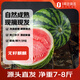 趣尝鲜 无籽麒麟西瓜 1枚装 净重7-8斤起  新鲜水果 源头直发包邮