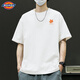 Dickies短袖男款2026新款夏季纯棉白色简约圆领男士半袖美式重磅T恤男