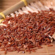 红米5斤装新货农家红粳米红血稻糙米五谷杂粮吃的红米