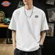 Dickies短袖T恤男2026新款夏季纯棉圆领男士上衣宽松大码简约半袖男款